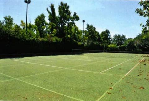 Sport court