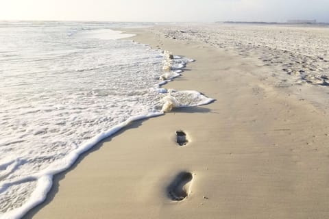 Take a Walk in the Sand