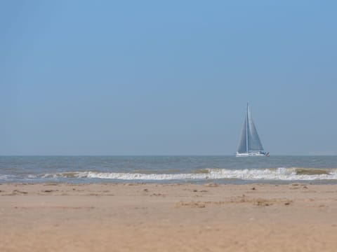 Water, Sky, Boat, Watercraft, Vehicle, Sailing, Beach, Mast, Sailboat, Tree