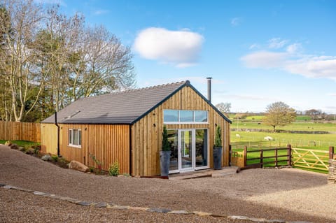 Bearskin exterior view with timber cladding, glass doors, and a gravel driveway leading to the entrance.