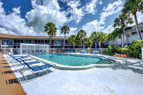 Swim and sunbathe! The pool has plenty of loungers to lay out in the Florida sun.