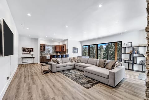 Family Room Lower Level