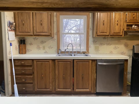 Kitchen cabinets and sink