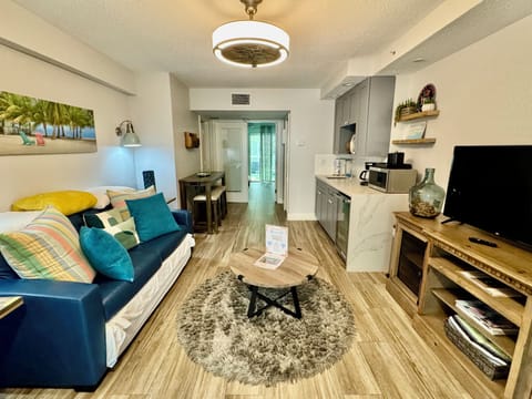 Ground level apartment with seating/ sleeper sofa, TV and kitchenette