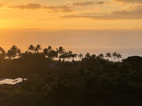 View from the lanai