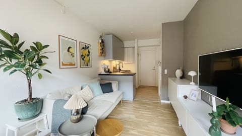 Kitchen, Living Room