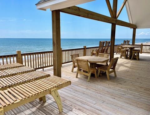 Beachfront deck, amazing view of coast, wildlife, beach activities!