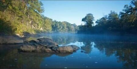 D9a02ccb 3eb7 42b4 b63c 265c14294e14