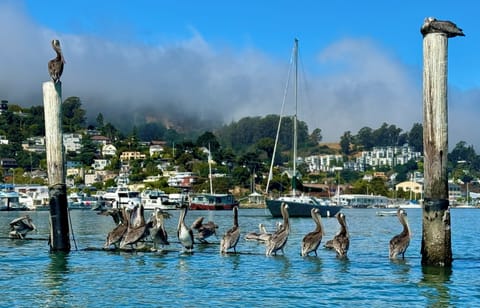 Picture taken while Kayaking 