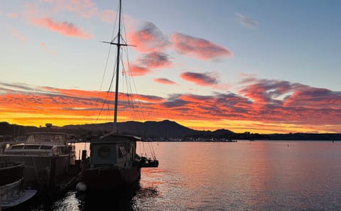 view of the Next door Neighbore at sunset