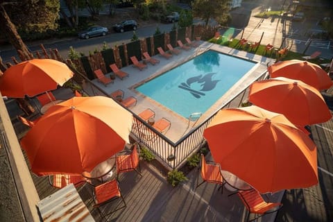 Sip, sunbathe, and swim with vibrant poolside seating below.