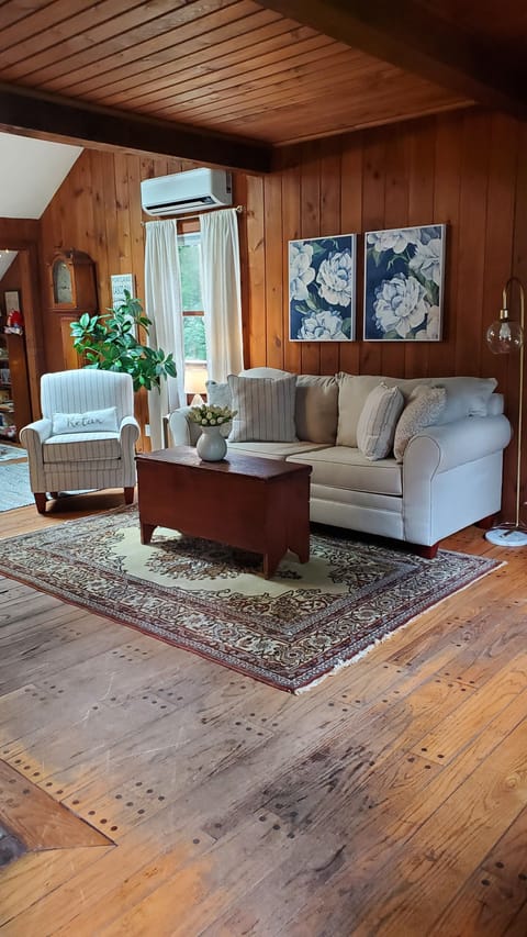 Front room with pull out sofa