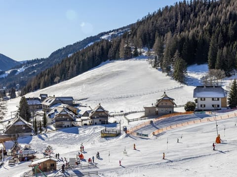 Ferien-almhaus Perfler - Almhaus Perfler House in Carinthia, Austria