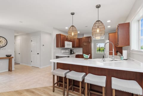 Kitchen and snack bar