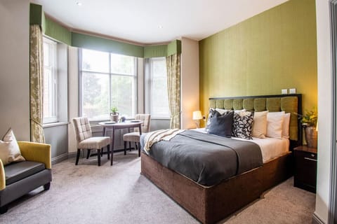 Modern studio with a comfortable king bed