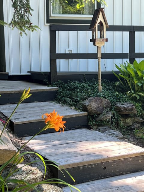 Spring, Summer, and Fall, there is always something in bloom