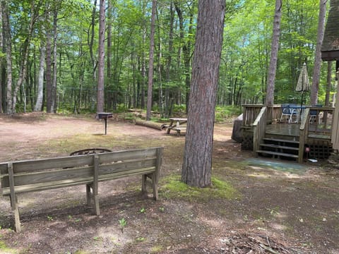 Next to the Hiawatha Forest
Private fire pit and forest view