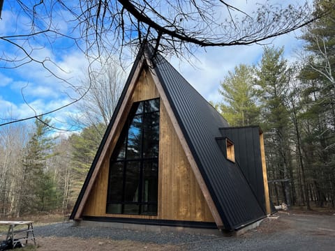 Front view of A-frame with soaring windows 