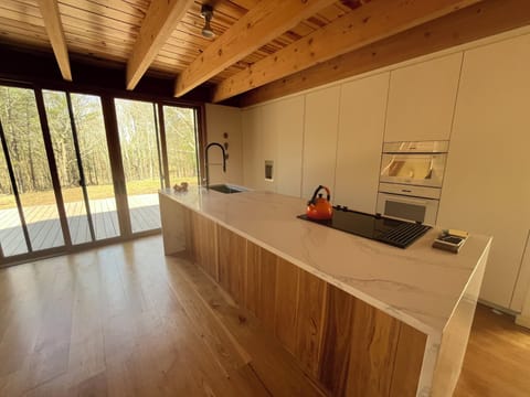 Luxury kitchen opens to oversized deck for outdoor dining and stargazing