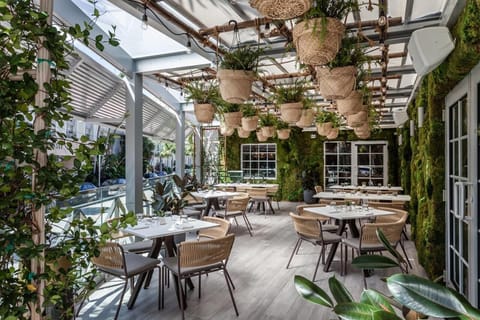Unwind beneath hanging greenery in a breezy, sunlit patio.