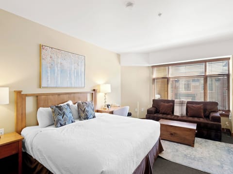 Primary Living Space / King Bed / Sofa Bed
