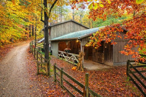 Elwood Loft in Autumn