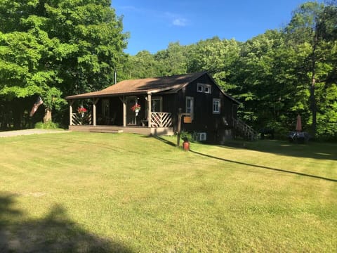 Front and yard