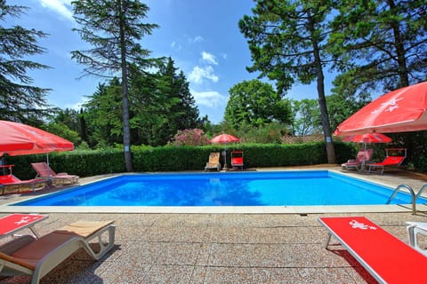 Garden, Outdoor, Pool