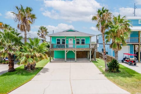 Front view of the home with palm trees and spacious parking.