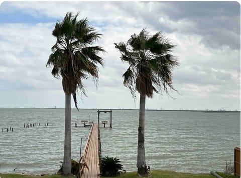 View from your private balcony of the 2 palms view of waterfront