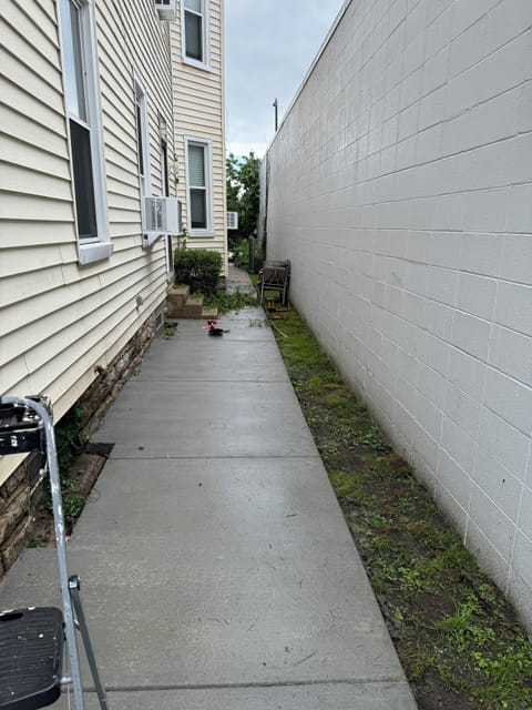 Side yard and entrance