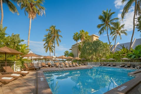 Dive into the sunlit pool surrounded by swaying palms.