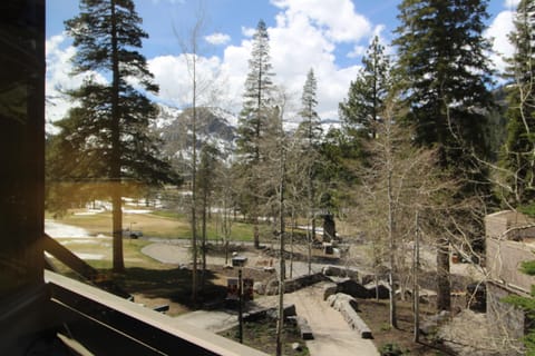 View from EV #236
