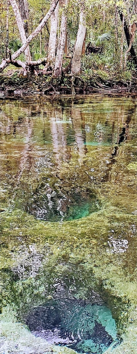 Seven sisters springs! 