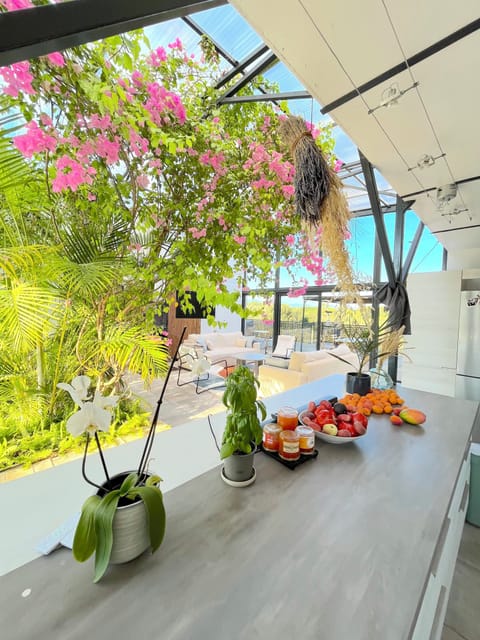 Jardin Tropical - Maison Principale