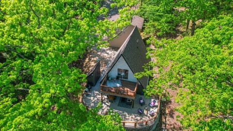 Main A-Frame cabin with shared living, kitchen, and dining space