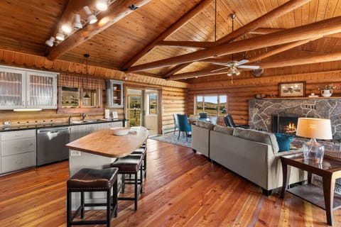 Living Room / Kitchen