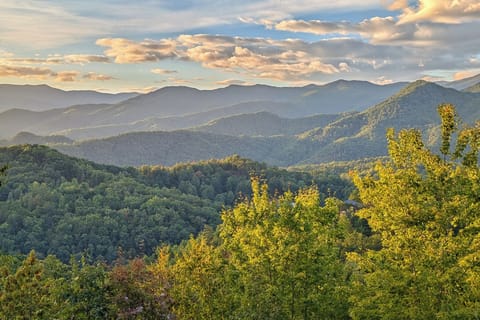 View from the back porch