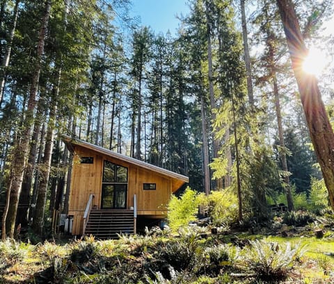 Built in 2022/23: new solar, water & septic systems, appliances & furniture.