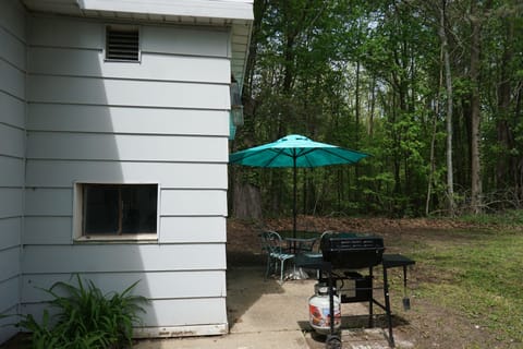 Back patio: propane grill, dining table and fire pit.