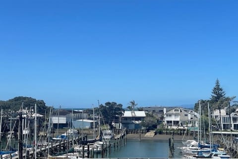 The marina view
