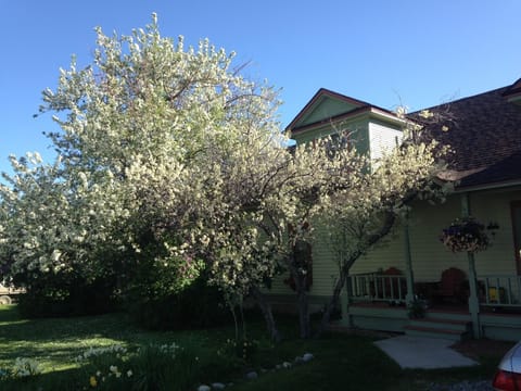 Springtime in Montana!