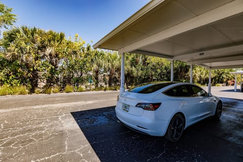 Park in the shady carport