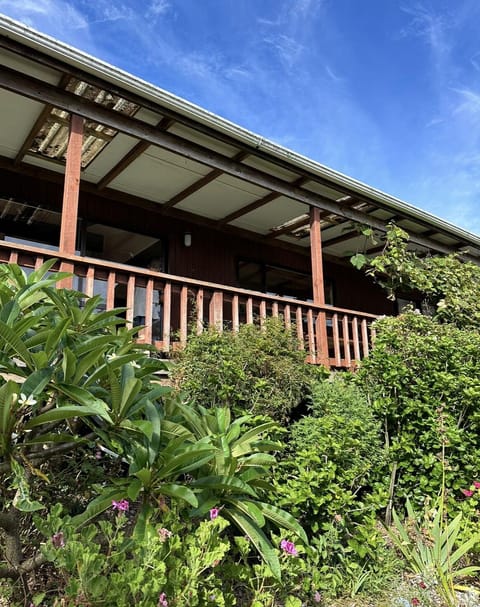 Deck overlooking tropical gardens and Hokianga Harbour