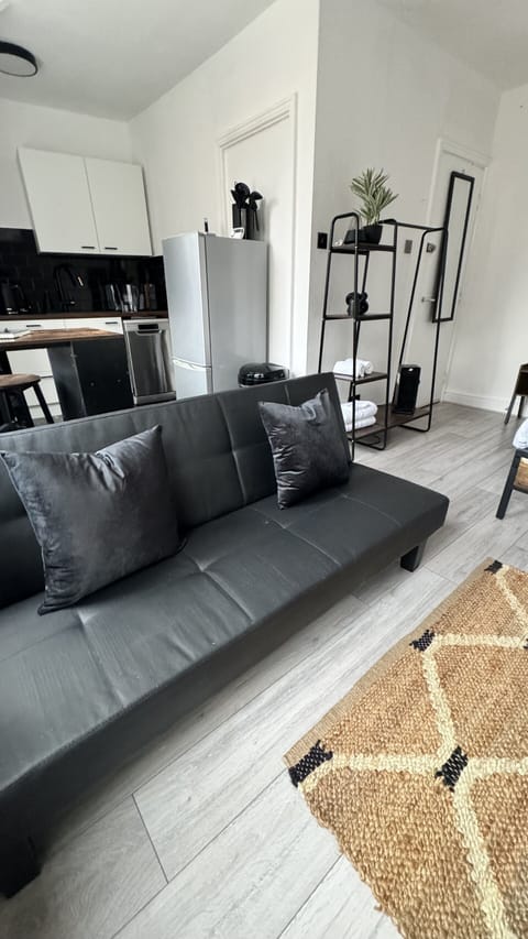 Sofa bed, open plan studio