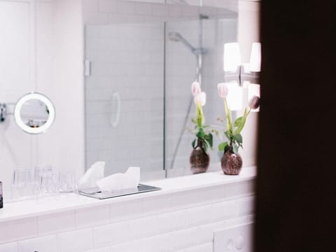 Junior Suite, incl. breakfast - arthotel Blaue Gans House in Salzburg