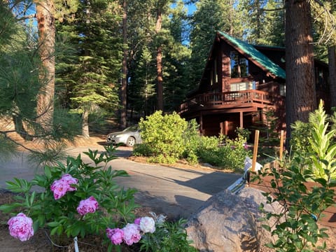 Our property offers rare setback from an already quiet street. This shows the huge driveway.