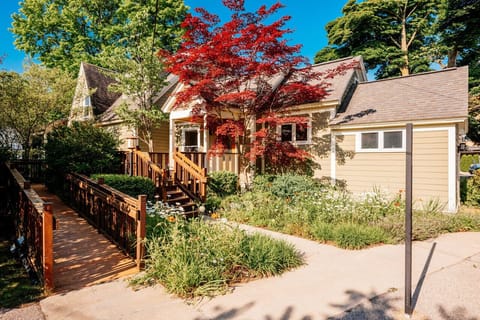 Bright and cheerful backyard view to enjoy nature’s beauty 🌿☀️