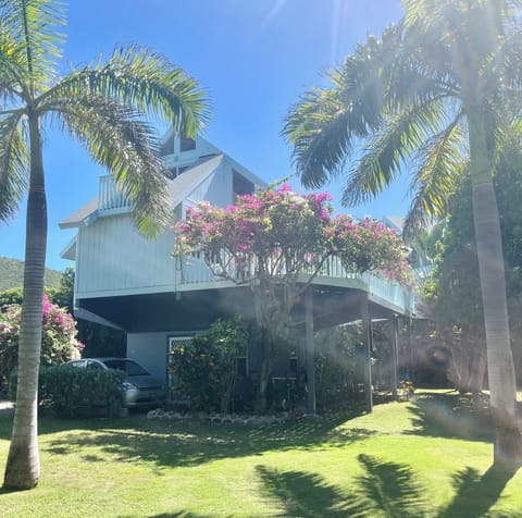 Welcome to my Caribbean Loft!