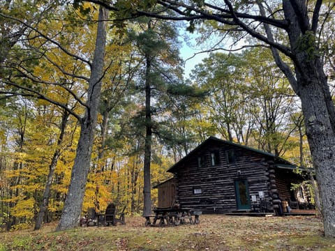 All seasons are pretty in their own way in the little cabin in the big woods.